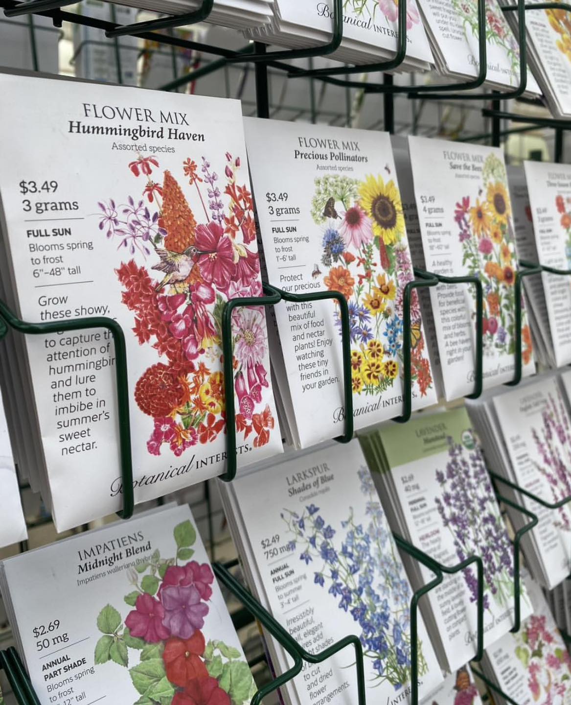 Seed packets on a display rack