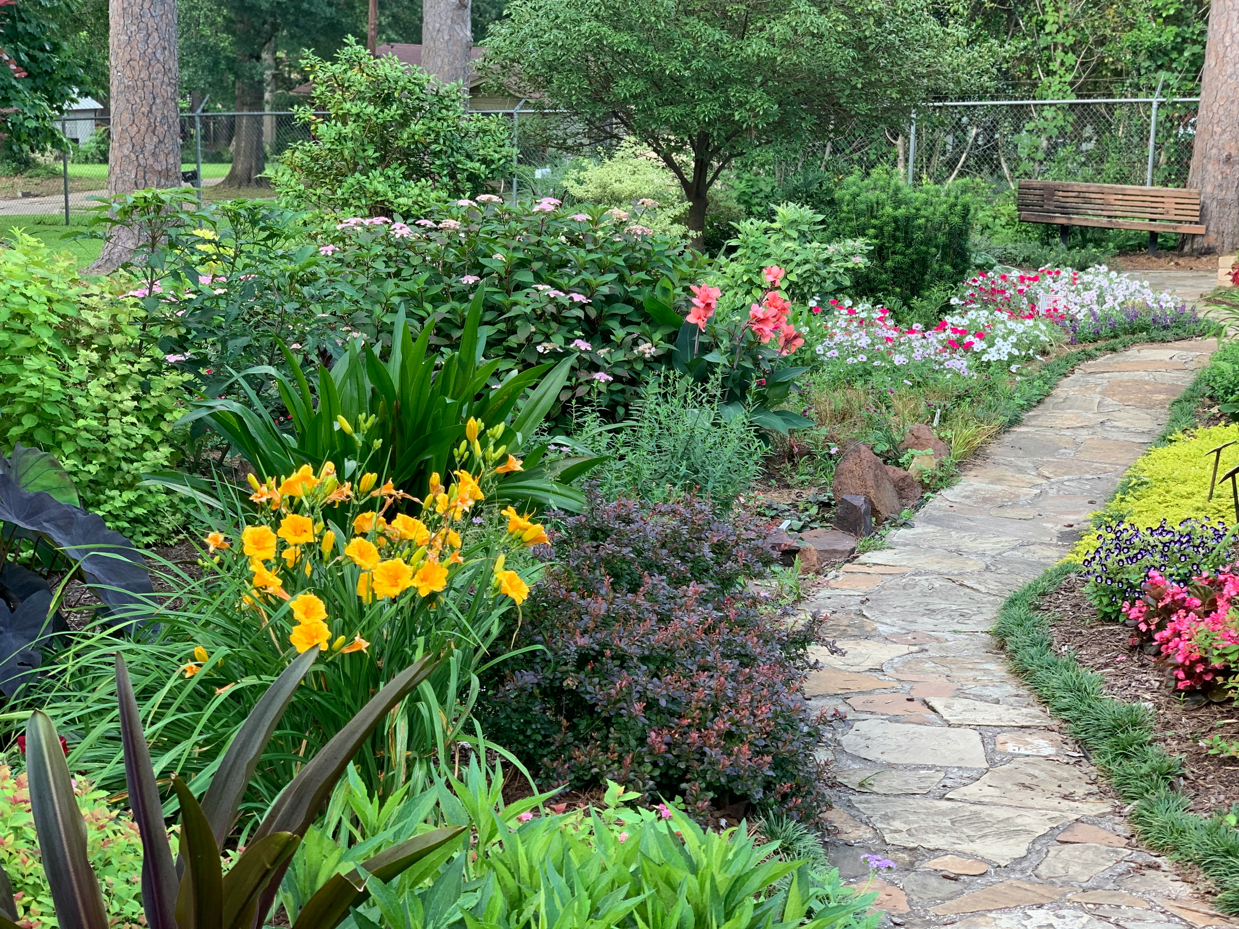 A pathway weaves through a garden