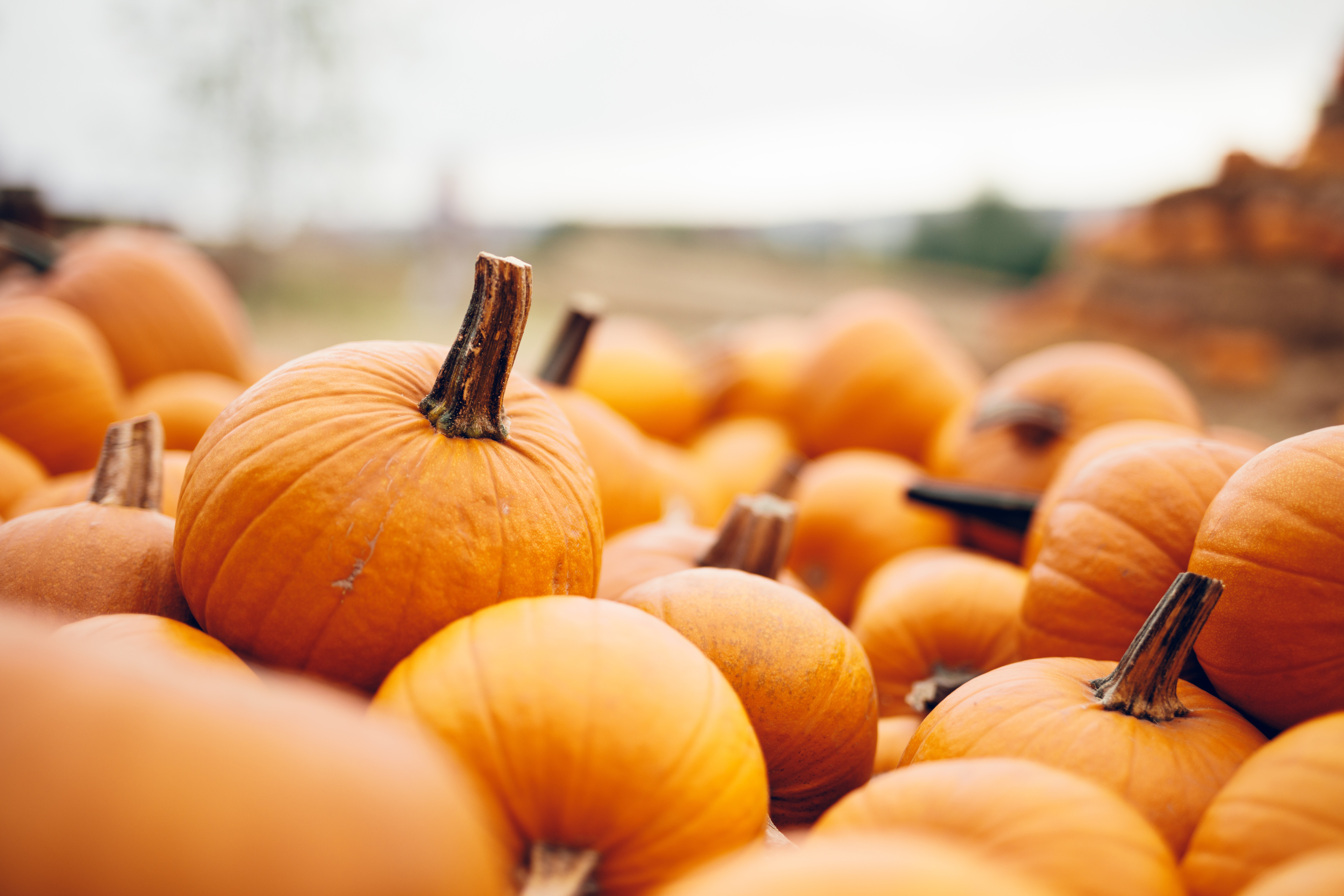 Pumpkins