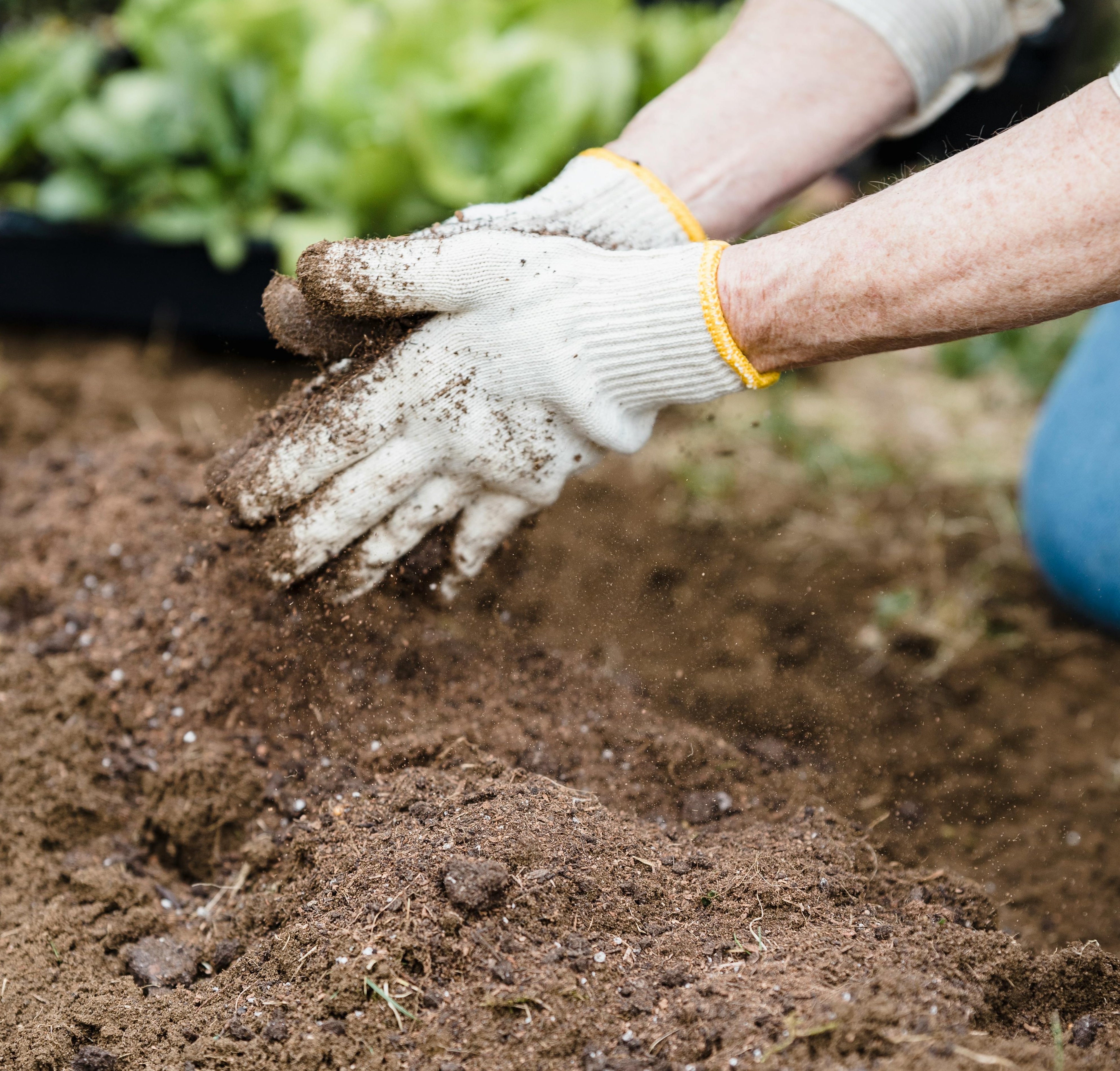 gardener hands with gloves working with soil