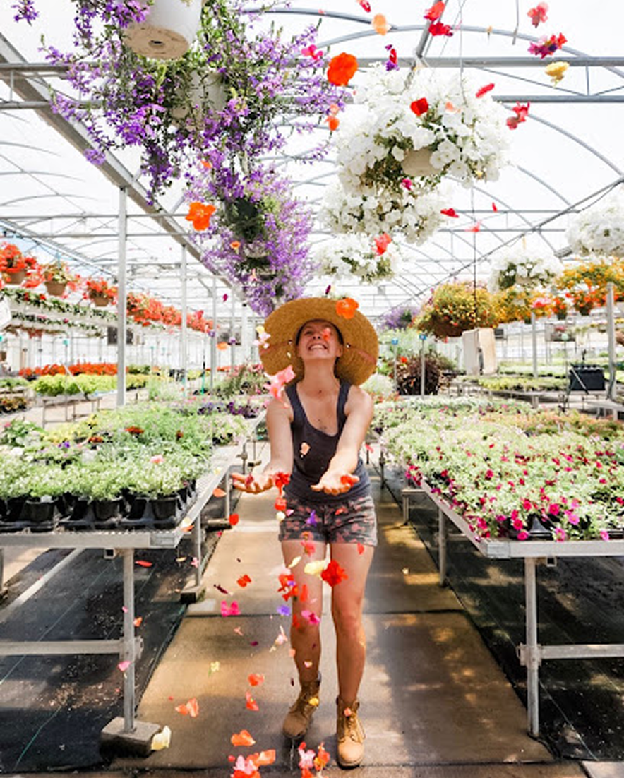 a happy employee throws petals in a greenhouse full of flowers