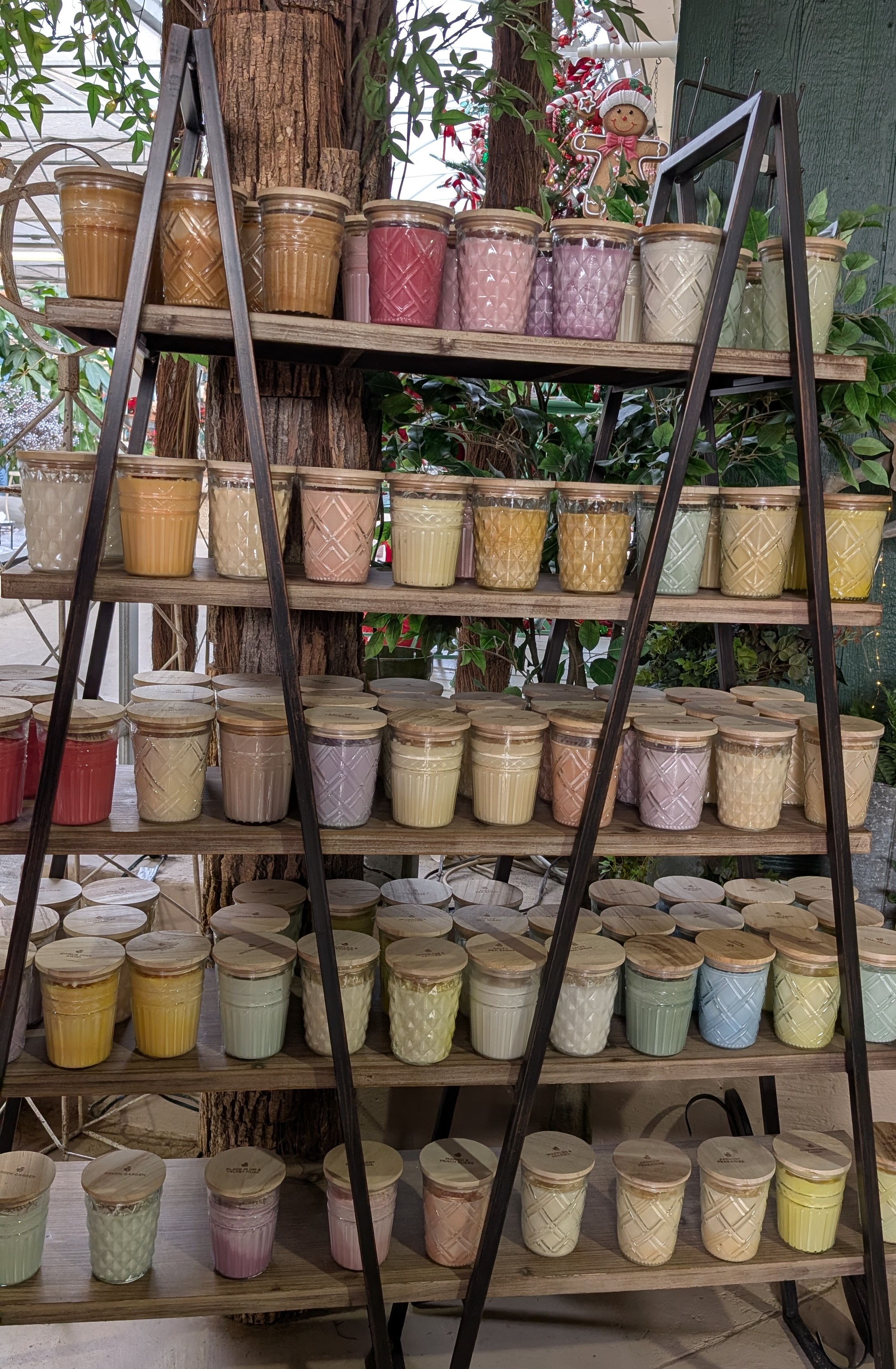 Display of multicolored candles in jars on wooden shelves with metal triangle shaped cross bracing.