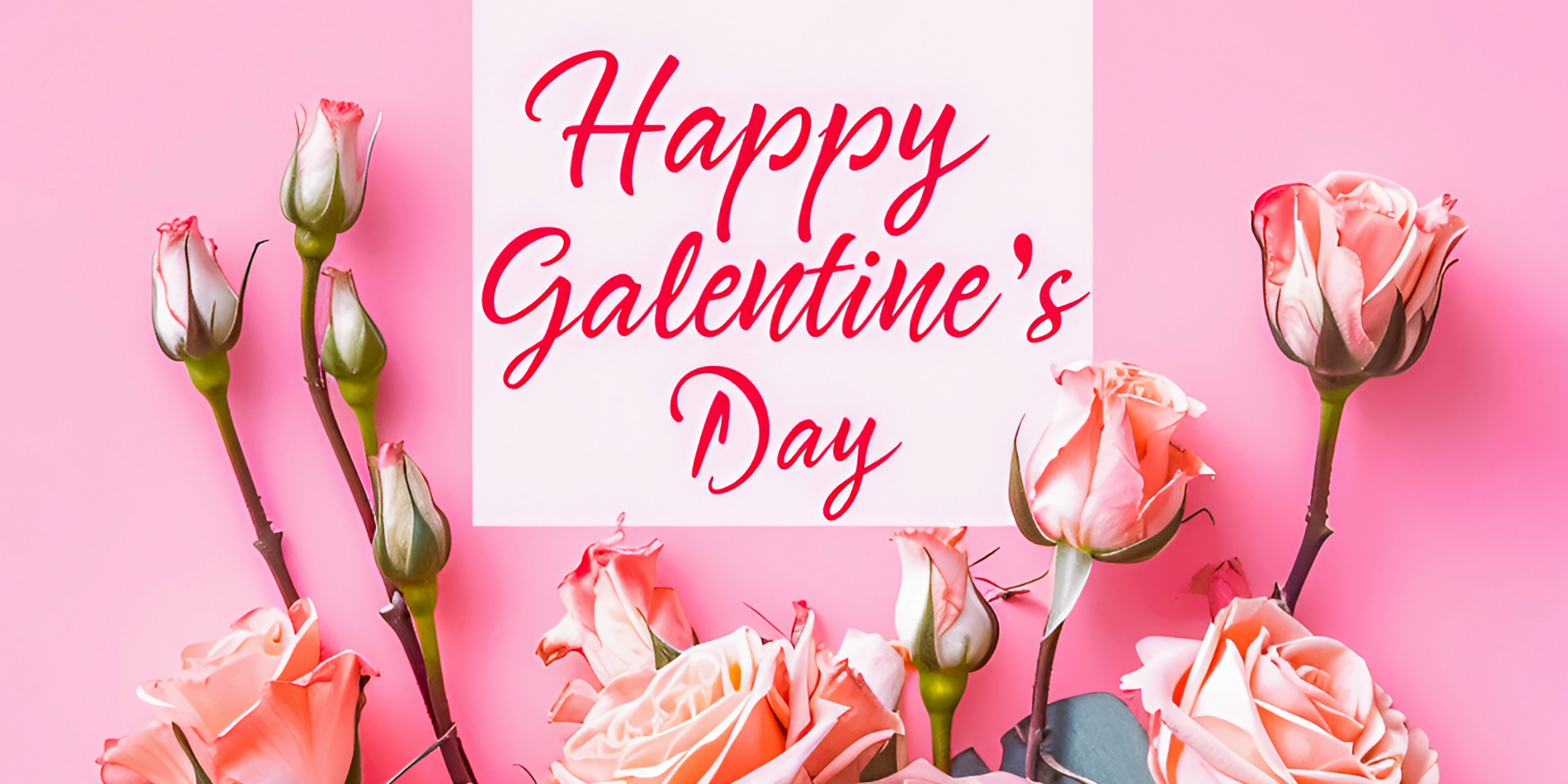 Pink flowers on a pink background with the words Happy Galentines Day in a cursive font.