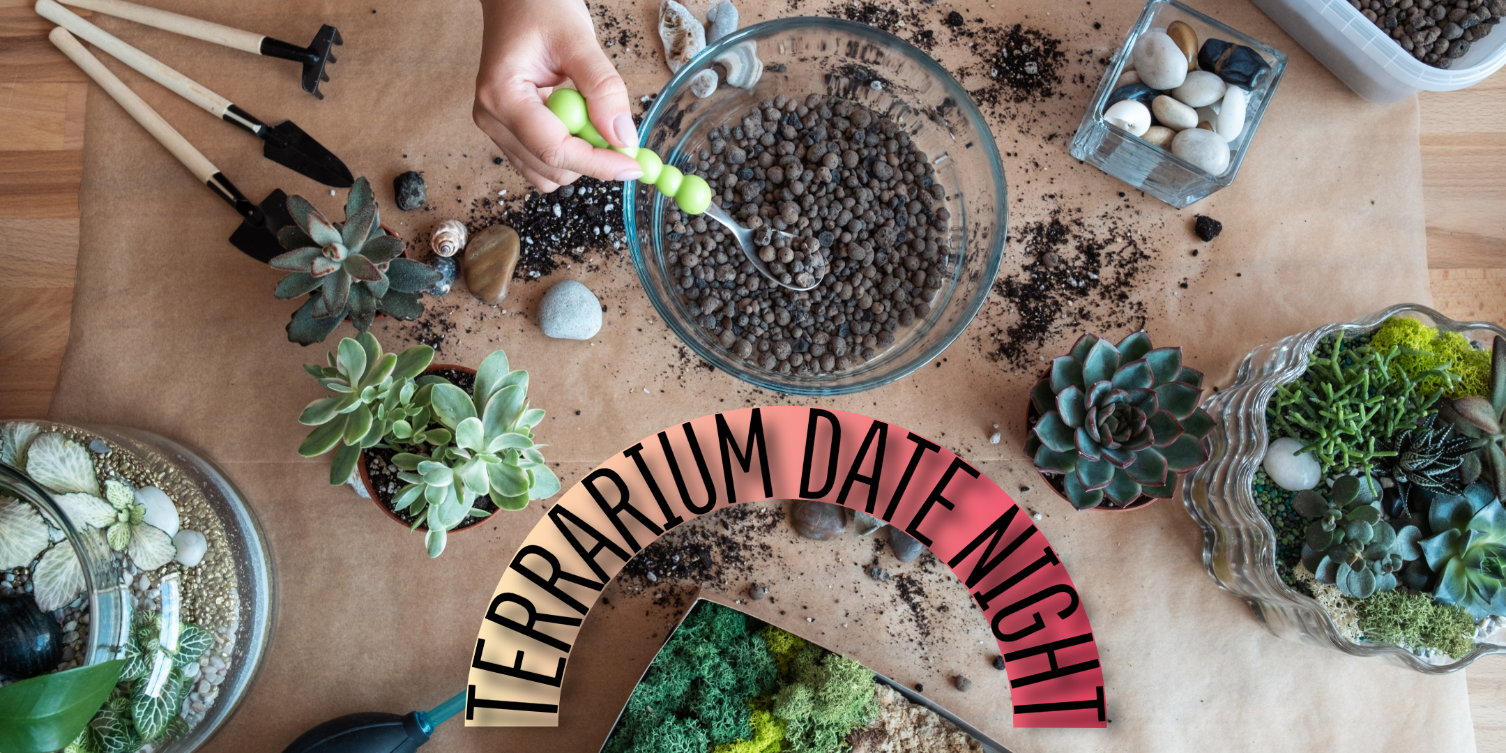 Top down view of terrarium plants, materials and containers.