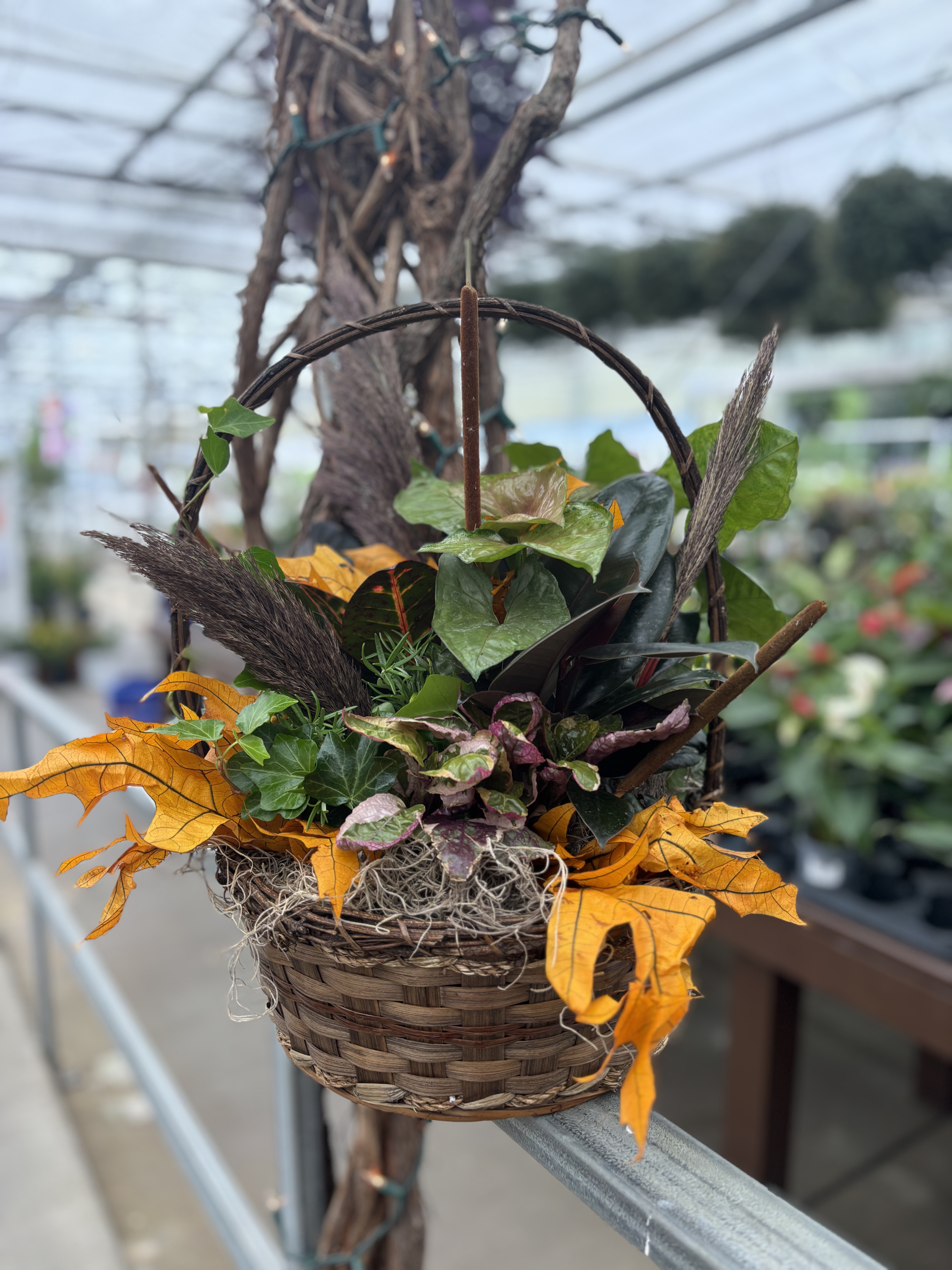 Fall Dishgarden