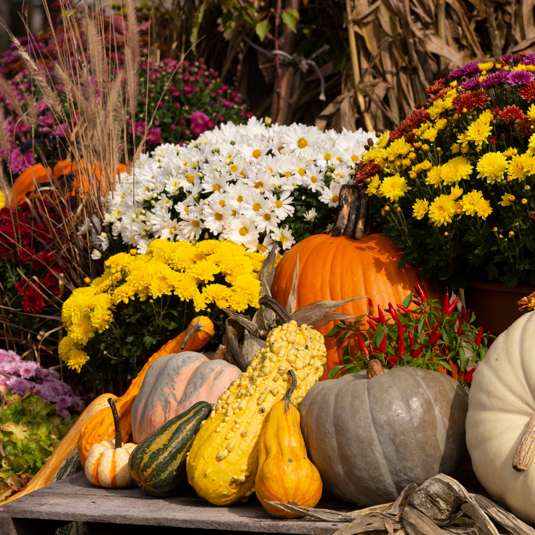 Fall Display