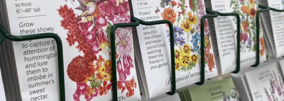Seed packets on a display rack