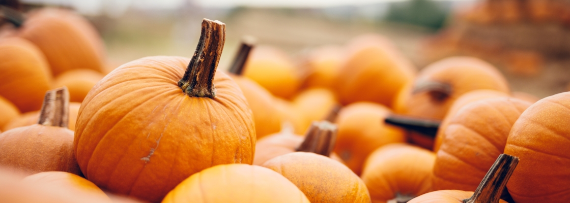 Pumpkins