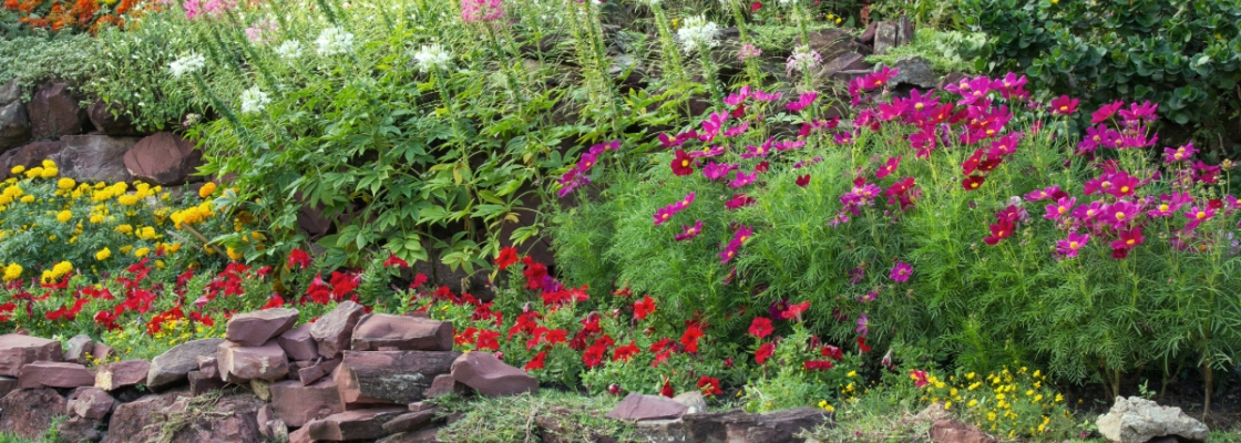 flower garden with rock wall