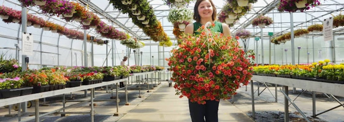 A lady holding a large bouquet of flowers in a greenhouse