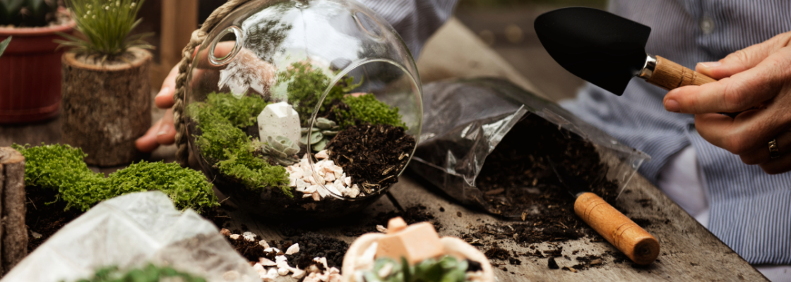 A partially completed terrarium sits on a workbench with gardening tools and plants.
