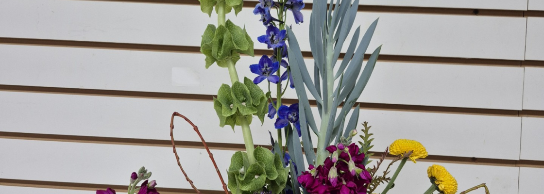 White background with a tall succulent and flower arrangement in a black container.