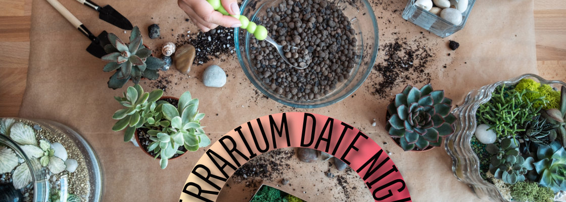 Top down view of terrarium plants, materials and containers.