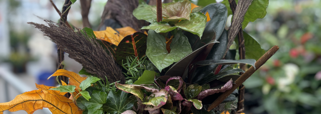 Fall Dishgarden