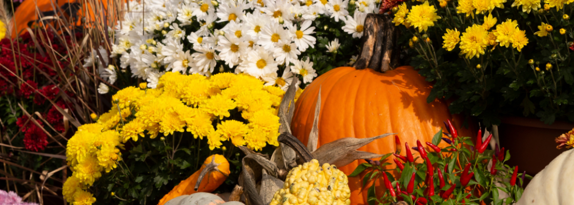 Fall Display