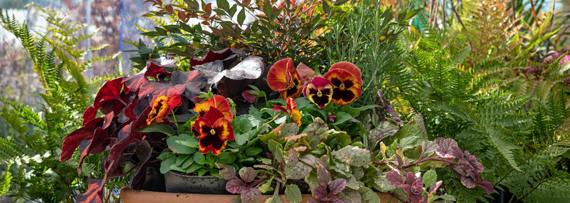 Fall Planter
