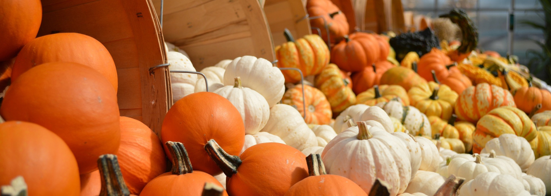 Gourds